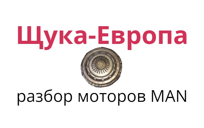 Щука-Европа